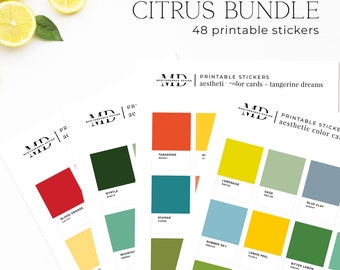 Citrus - Printable color swatch pantone style planner and bujo aesthetic stickers, Junk journal, Print and cut tags