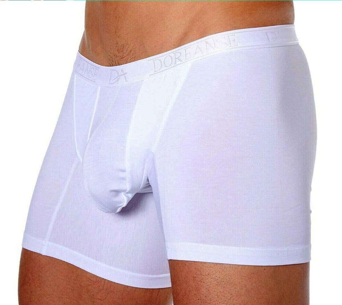 Panteasy Men's See through Mesh Frenchie Brief Underwear
