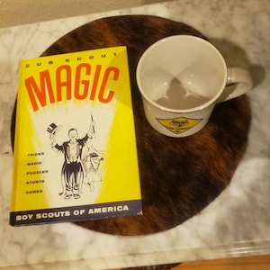 Cub Scout Mug, Cub Scout Magic  Book Copyright 1960 free shipping TripleJsOddities