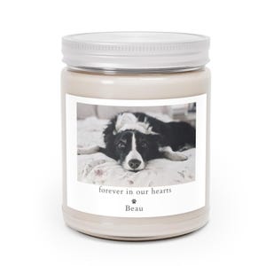 Custom Pet Sympathy Candle, Personalized Memorial Pet Candle with Photo, Dog Loss Gift, Cat Bereavement Gift, Animal Remembrance Candle
