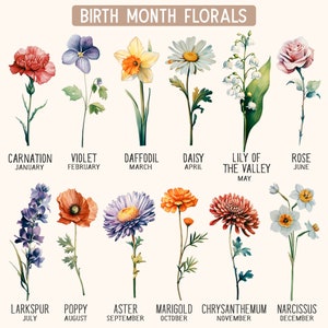 Puede incluir: Un gr&aacute;fico que muestra la flor de nacimiento para cada mes del a&ntilde;o. Las flores est&aacute;n ilustradas en estilo acuarela. Enero: Clavel, Febrero: Violeta, Marzo: Narciso, Abril: Margarita, Mayo: Lirio de los valles, Junio: Rosa, Julio: Delphinium, Agosto: Amapola, Septiembre: Aster, Octubre: Cal&eacute;ndula, Noviembre: Crisantemo, Diciembre: Narciso.