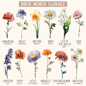 May include: A chart showing the birth month flower for each month of the year. The flowers are illustrated in watercolor style. January: Carnation, February: Violet, March: Daffodil, April: Daisy, May: Lily of the Valley, June: Rose, July: Larkspur, August: Poppy, September: Aster, October: Marigold, November: Chrysanthemum, December: Narcissus.