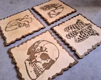 Anatomical Wooden Coaster, Heart, Rib Cage, Lungs, Skull, Set of 4, Water resistant