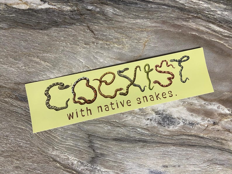 Coexist With Native Snakes Bumper Sticker - Etsy