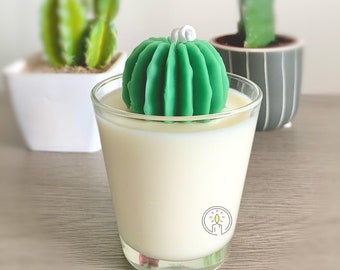 Cactus Candle | Terrarium Candle | Mother's Day | Succulent Candle | Home Decor | Housewarming Gift | Natural Soy Candle |Hand-poured Candle