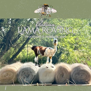May include: Artisan llama roving, processed and ready to spin. The image features a small llama standing on top of several rolls of soft, natural-colored fiber. The background shows a green, natural setting with trees and foliage.