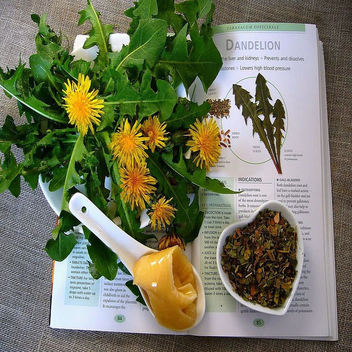 Dandelion Leaf Organic Dandelion Leaf Dandelion Leaf Tea Etsy