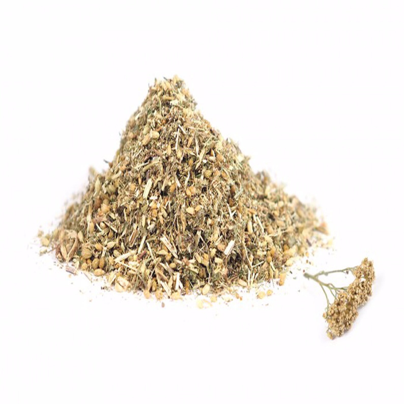 Yarrow Dried Flowers white Yarrow. Achillea millefolium L. Etsy