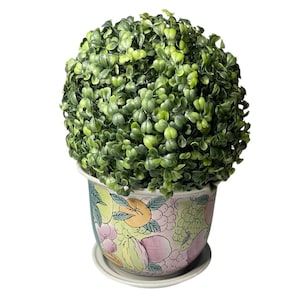 May include: A decorative artificial topiary plant in a ceramic pot. The plant has small, round, green leaves. The pot is decorated with a colorful fruit and floral design, and sits on a white saucer. The pot is approximately 6 inches in diameter.