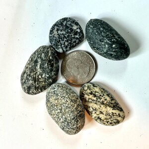 Polished Speckled Smith River Rocks  C8