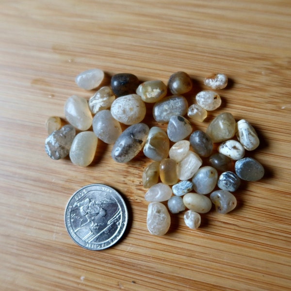 Polished Agate - Tumbled Ocean Rocks - Beach Rocks D