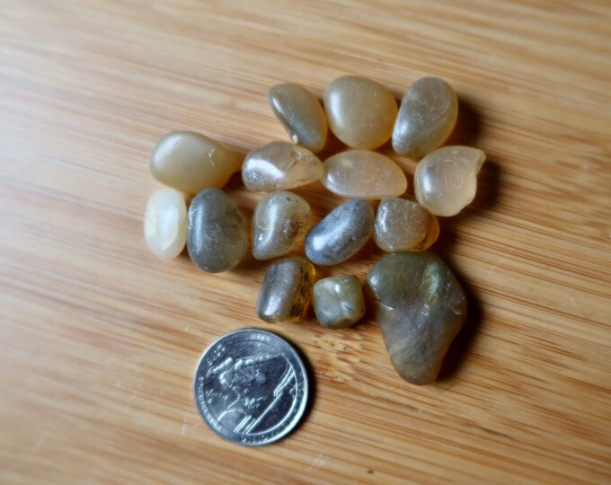 Polished Agate - Tumbled Ocean Rocks - Beach Rocks D4 - Etsy
