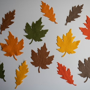 May include: Assortment of felt leaves in various colors, including orange, yellow, brown, and green. The leaves are cut in different shapes, including maple and oak.