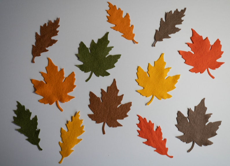 May include: Assortment of felt leaves in various colors, including orange, yellow, brown, and green. The leaves are cut in different shapes, including maple and oak.