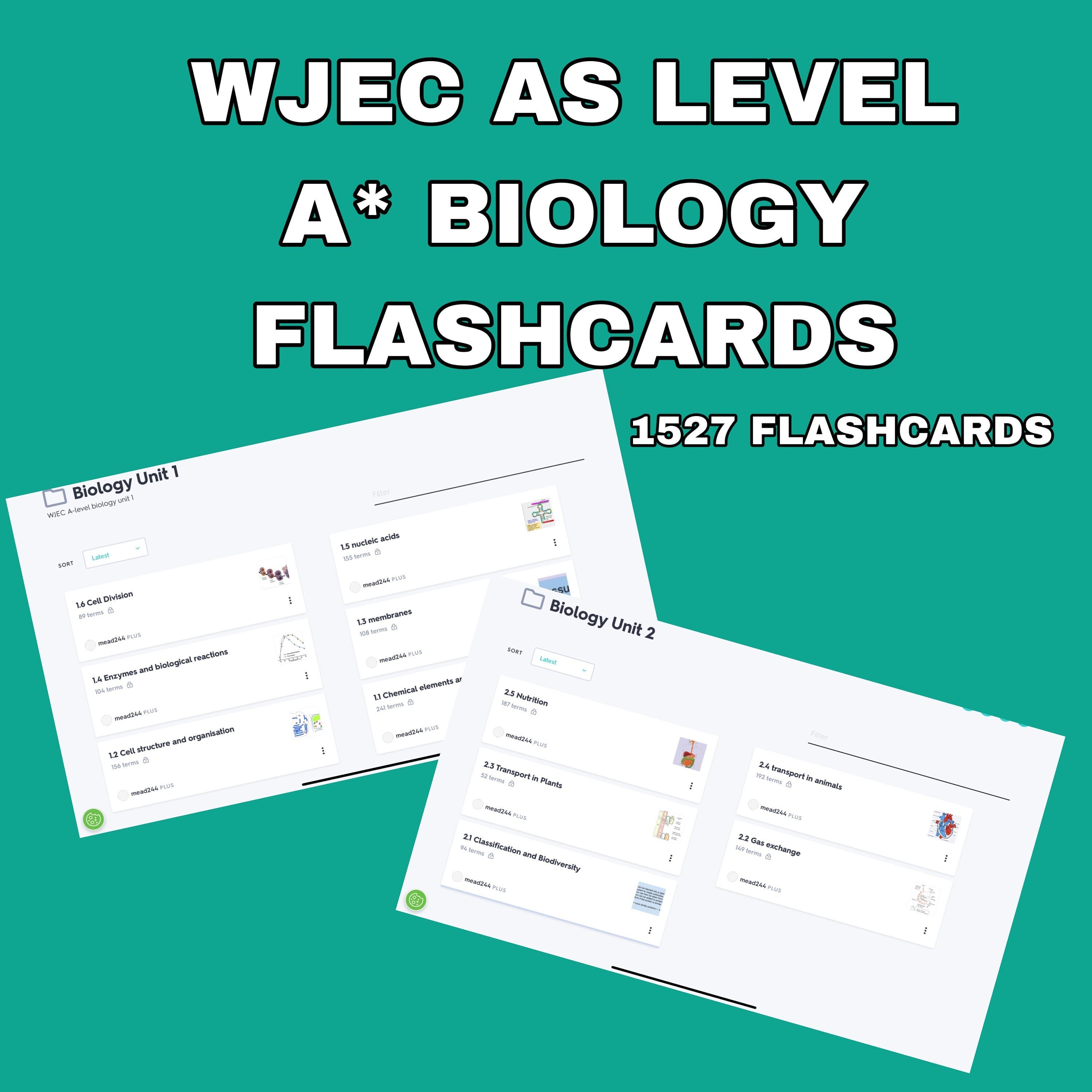 A Level Flashcards - Etsy