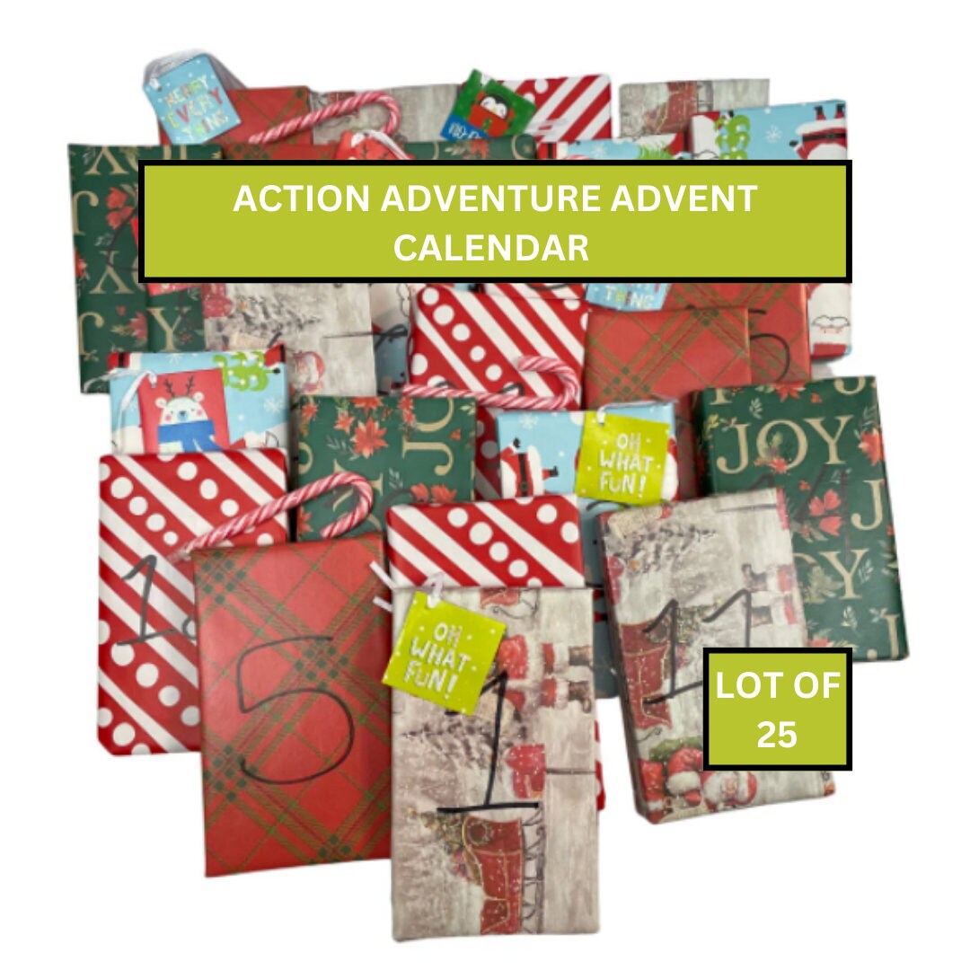 ACTION ADVENTURE Book Christmas Advent Calendar Holiday Gift Book