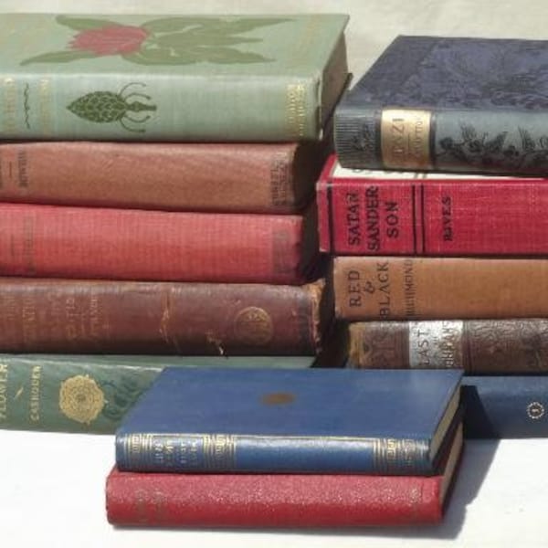 Book Bundle Random Books Reading Surprise Books Reading Mixed Media Stack of Books Mystery Book Bundle Antique Collectible Vintage Books