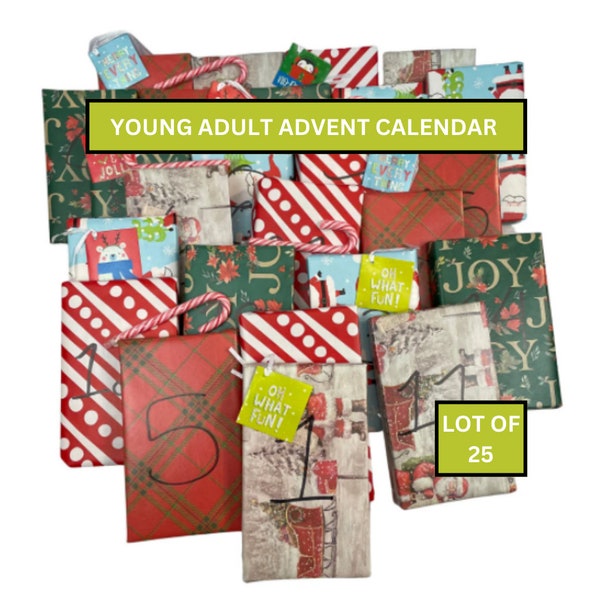 YOUNG ADULT Book Christmas Advent Calendar Holiday Gift Book Advent Calendar Blind Date With A Book Bookish Gift 25 Books Bookish Gift