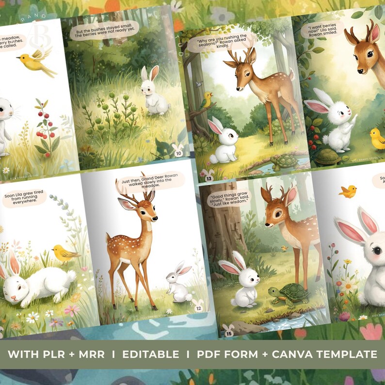 Try Everything Rabbit ABS Storybook: the Rabbit Who Tried to Hurry the Seasons - Etsy