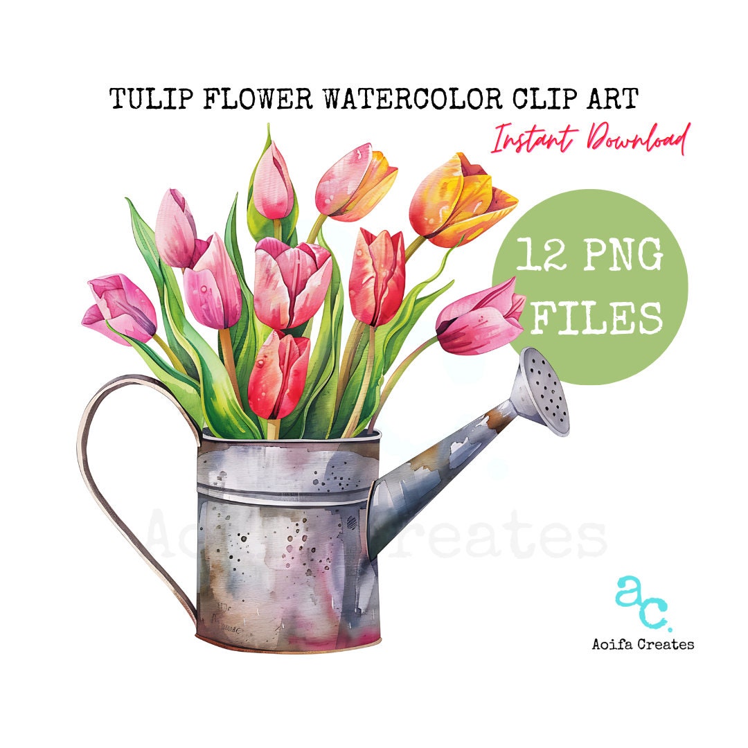 Watercolor Tulip Clipart Bundle – Floral PNG Graphics (commercial Use ...