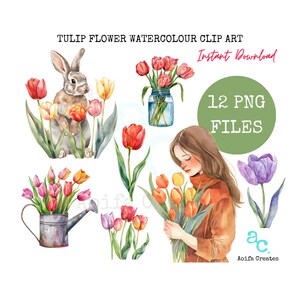 Watercolor Tulip Clipart Bundle Tulip clipart watercolor clipart PNG transparent background spring flowers colorful flowers woman with tulip