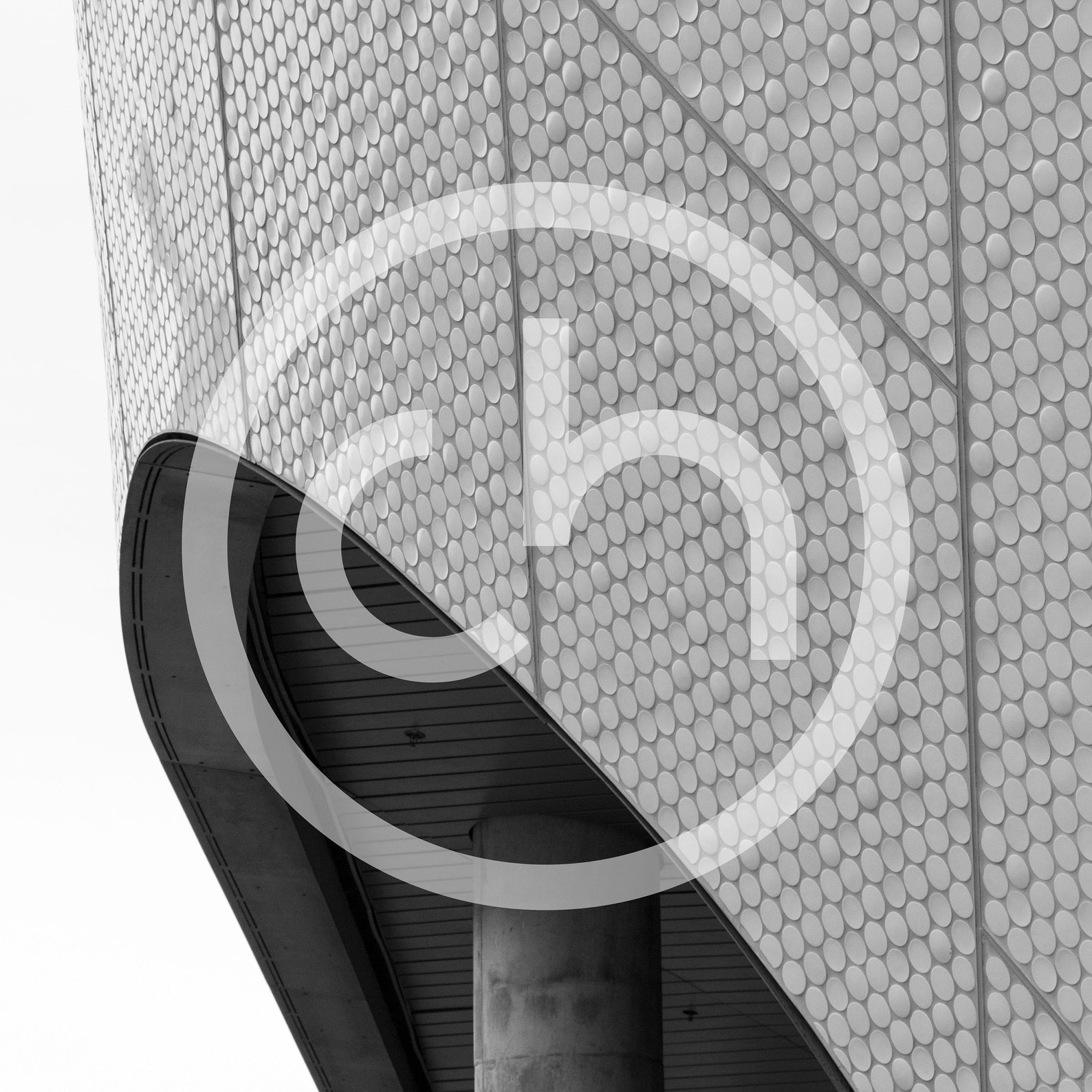 Frost Museum MIAMI Downloadable and Printable Digital Wall Etsy