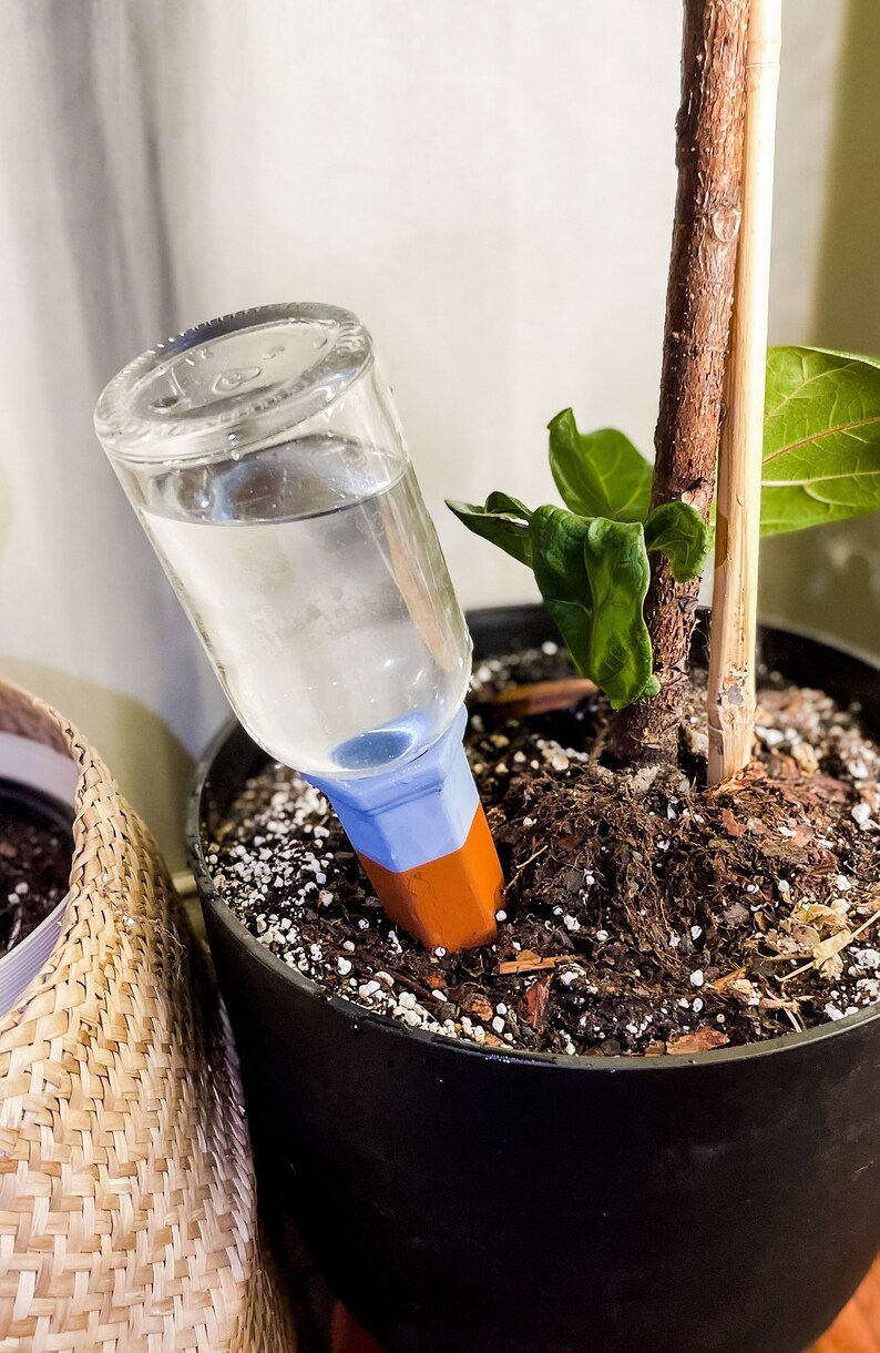 Terracotta Self Watering Plant Spikes for Watering on Vacation Etsy