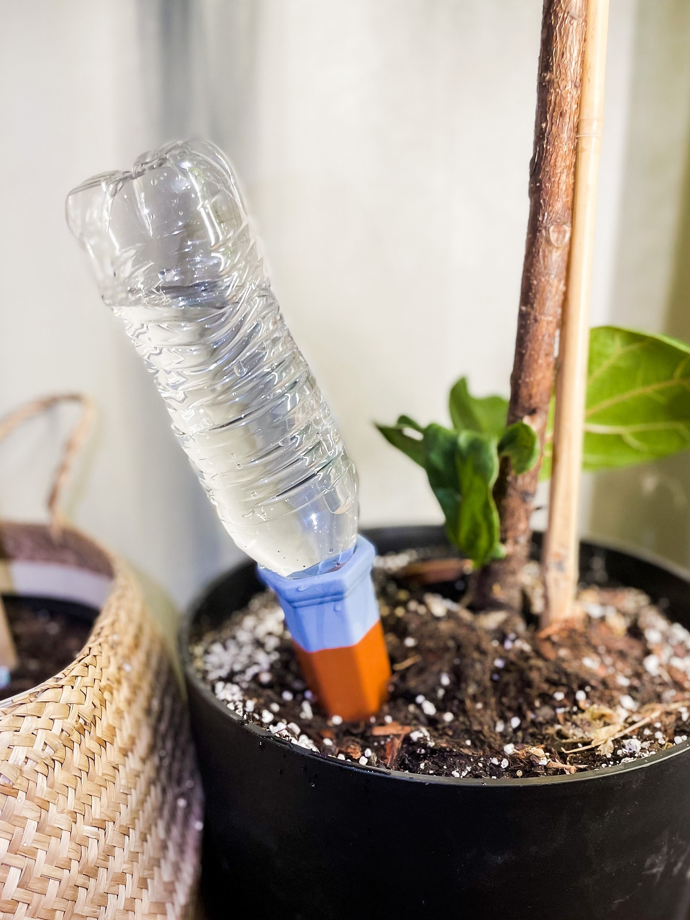 Terracotta Self Watering Plant Spikes for Watering on Vacation Etsy