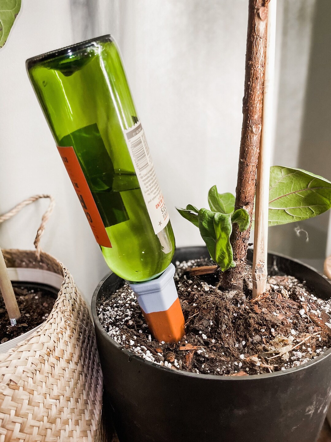 Terracotta Self Watering Plant Spikes for Watering on Vacation or