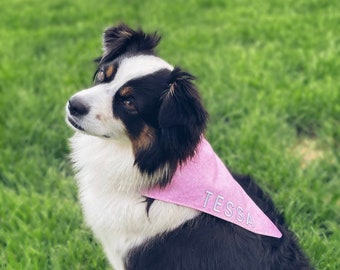 Custom Dog Bandana