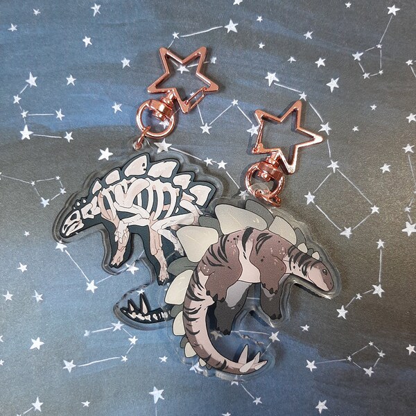Stego Charm