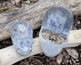 Resin skulls with REAL moth and cicada shell – You pick unique specimen art