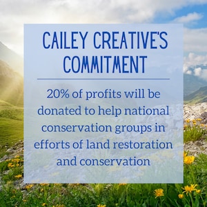 May include: Image with text: "CAILEY CREATIVE'S COMMITMENT" and details about donating 20% of profits to national conservation groups for land restoration and conservation. The background shows a mountain landscape with green grass and yellow flowers.