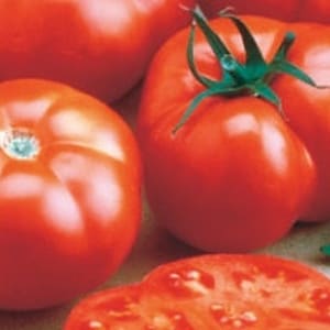May include: Close-up of several ripe, red tomatoes. One is sliced, revealing the juicy interior. The tomatoes have green stems and are glossy, indicating freshness. The image showcases a selection of fresh produce.