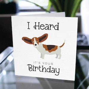 Carte d’anniversaire pour chien, carte d’anniversaire drôle de jeu de mots, carte d’anniversaire de chien, anniversaire de chien, anniversaire de chien drôle, cadeau d’anniversaire de chien