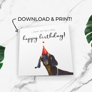 Cartão para impressão, cartão de feliz aniversário engraçado, presente de aniversário divertido, cartão de aniversário divertido para criança, download e impressão instantâneos para download