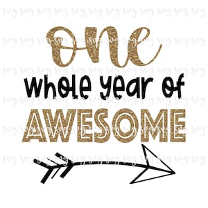 ¡¡VENTA!! Cumpleaños Un año entero de impresionante SVG Primer cumpleaños Contorno bebé 1er cumpleaños Fiesta Camisa SVG Decoraciones Bday Signo -BD107