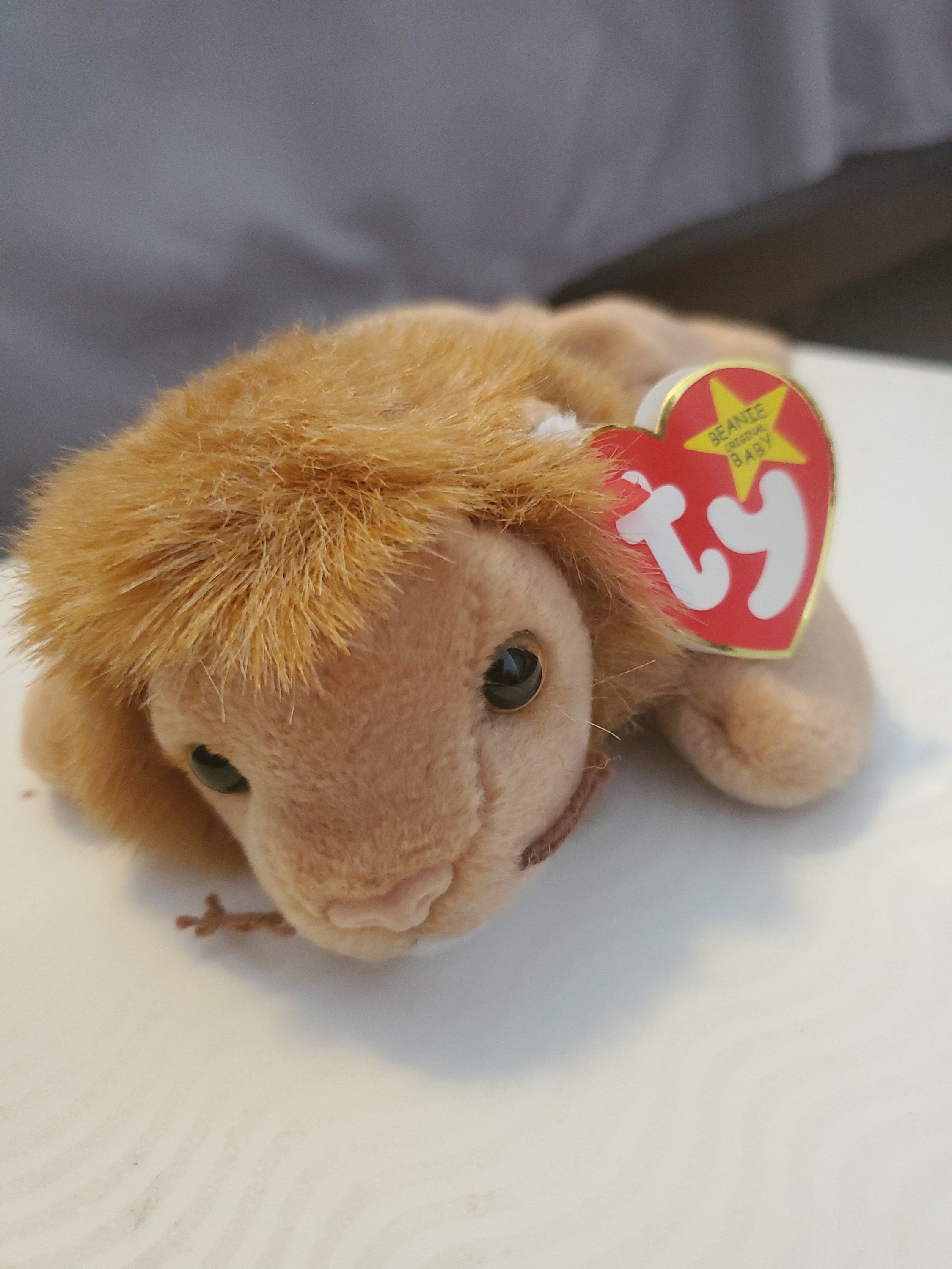 Roary the Beanie Baby Etsy