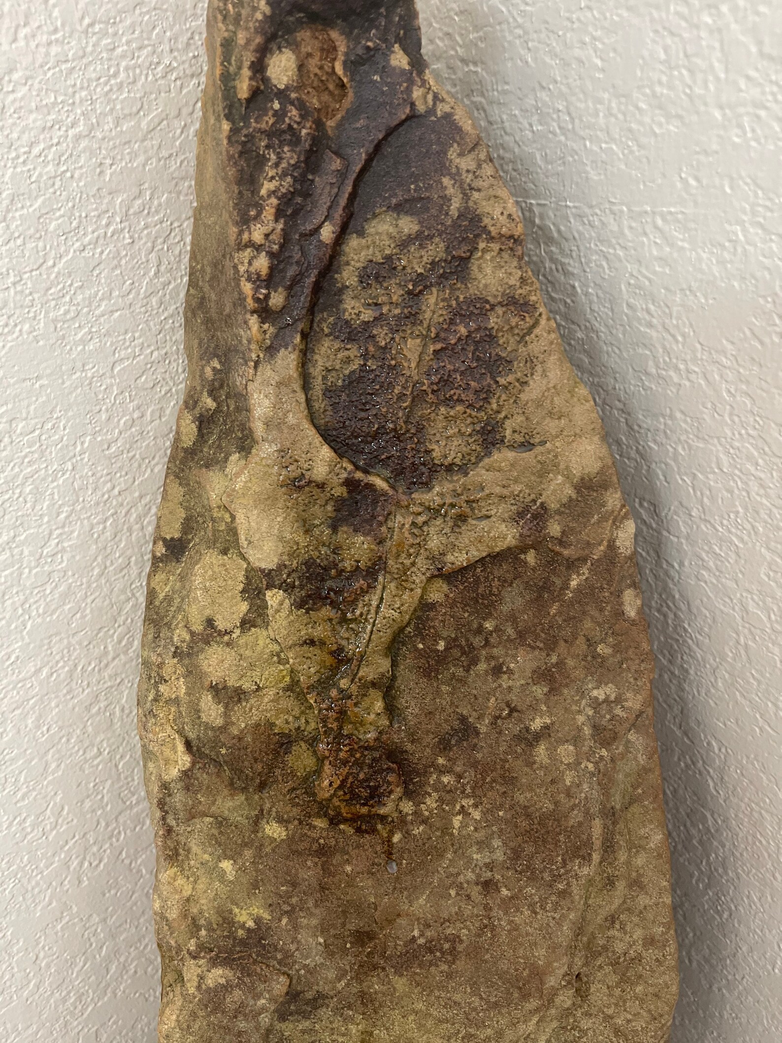 Prehistoric leaf imprint | Etsy
