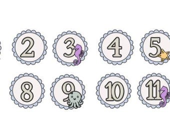 ONEder the Sea Monthly Milestone Banner, First Birthday Photo Banner, Ocean Baby Milestone Banner, Newborn to 12 Months Photo Garland