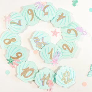 Mermaid Milestone Banner for Baby&#39;s First Year Mermaid First Birthday Decoration 12 Month Photo Banner with Mermaid Milestone Signs