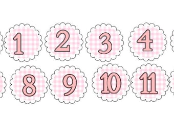 Pink Gingham Pumpkin 1st Birthday Milestone Photo Banner