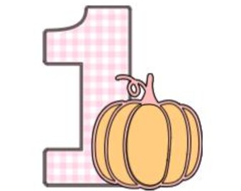 Pink Pumpkin First Birthday Cake Topper, Gingham Number One