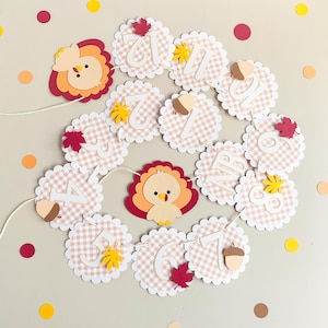 Turkey Milestone Banner for Baby&#39;s First Year & Birthday, 12 Month Photo Decoration, Our Little Turkey is One, Fall Birthday Party Decor