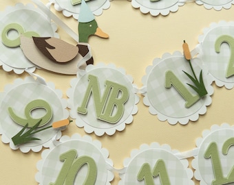 Mallard Duck Photo Banner: First Year Baby Pictures, Rustic Birthday Decor