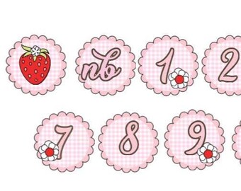 Pink Gingham Strawberry Photo Banner: Baby Girl 1st Birthday Decor