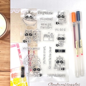 Science Lab, Racoon, scientist, chemistry Lab Clear Silicone Stamps for DIY Scrapbooking/Card Making/Kids Fun Decoration Supplies