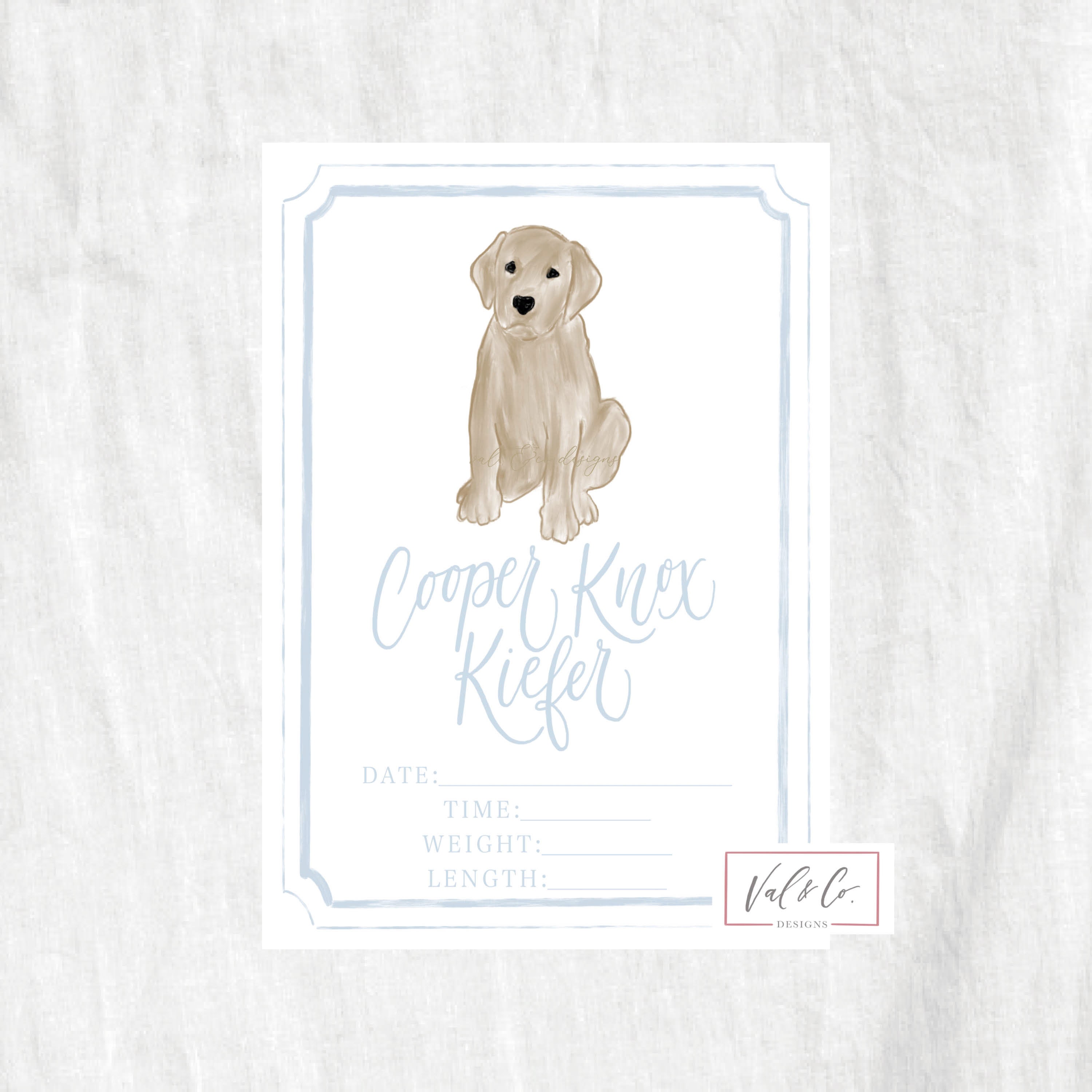 How Much Do Labrador Puppies Weigh At Birth