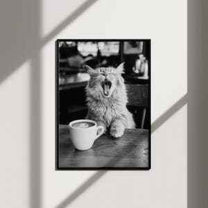funny cat poster kitchen wall prints coffee wall art, funny wall art black and white photography print kitchen decor, retro art office decor