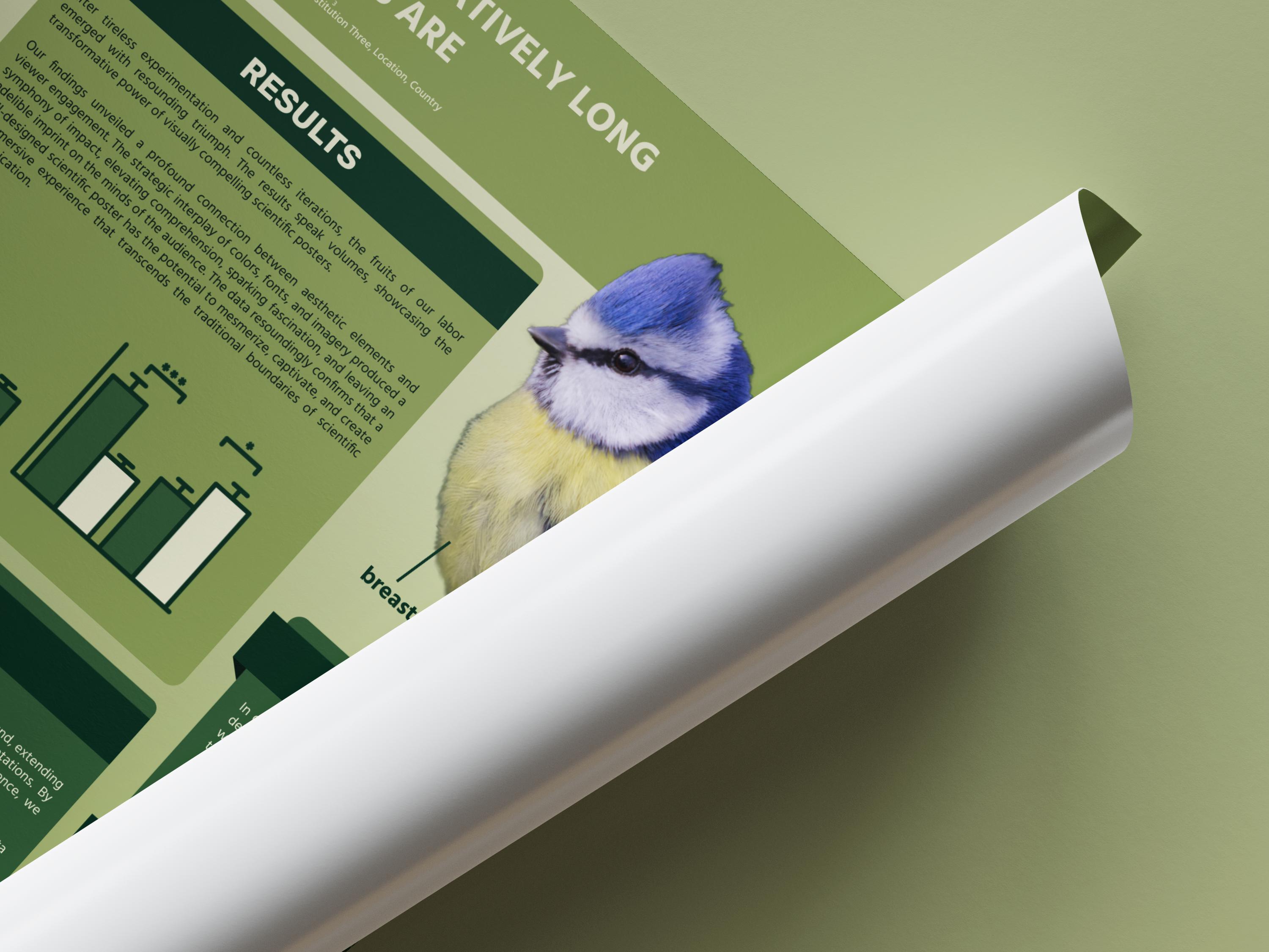 Scientific Poster Template for Powerpoint or Google Slides DIGITAL